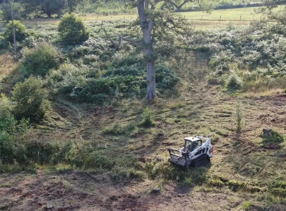 A tracked mulcher clearing overgrown land between trees
